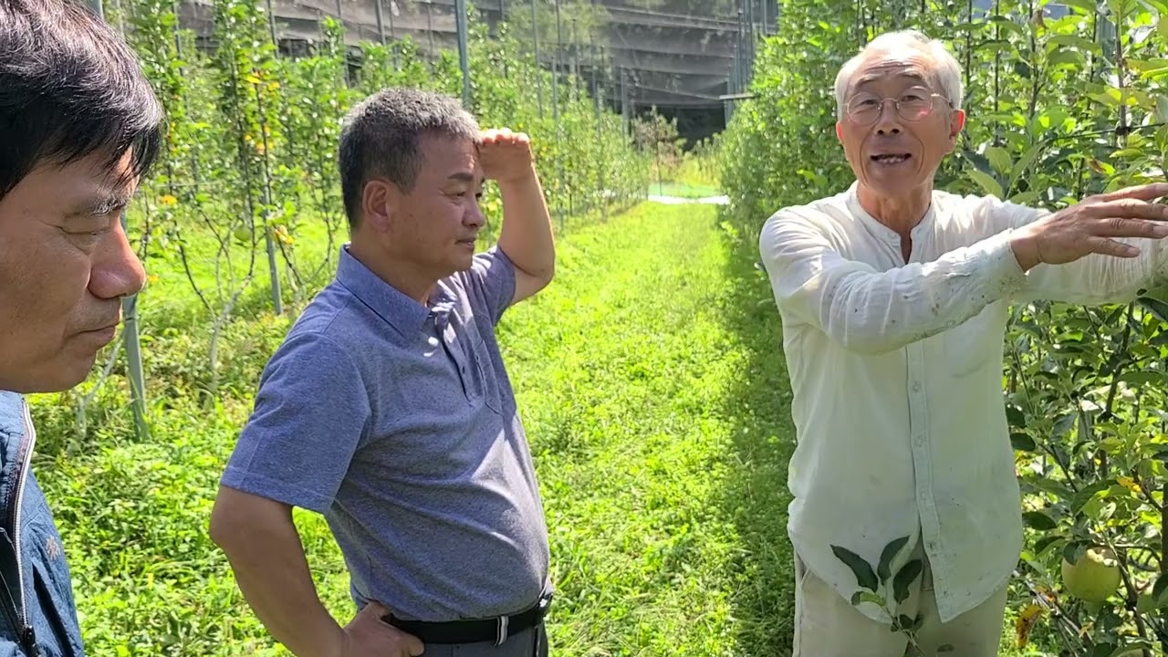 청송 다축 학습 조직 연구 모임, 강원도 원주 매지사과농원 유병석대표 농원 견학