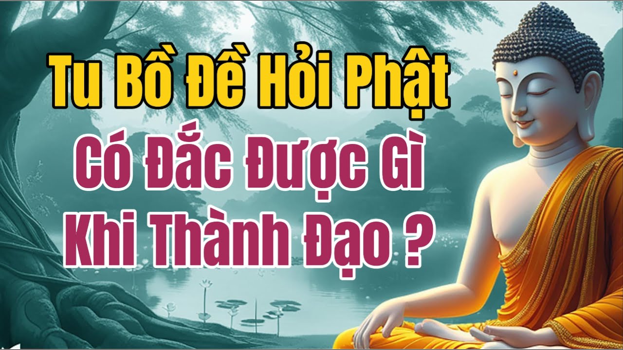 Tu Bồ Đề Hỏi Phật Có Đắc Được Gì Khi Thành Đạo? - Hiểu “Vô Sở Đắc” Qua Kinh Kim Cang