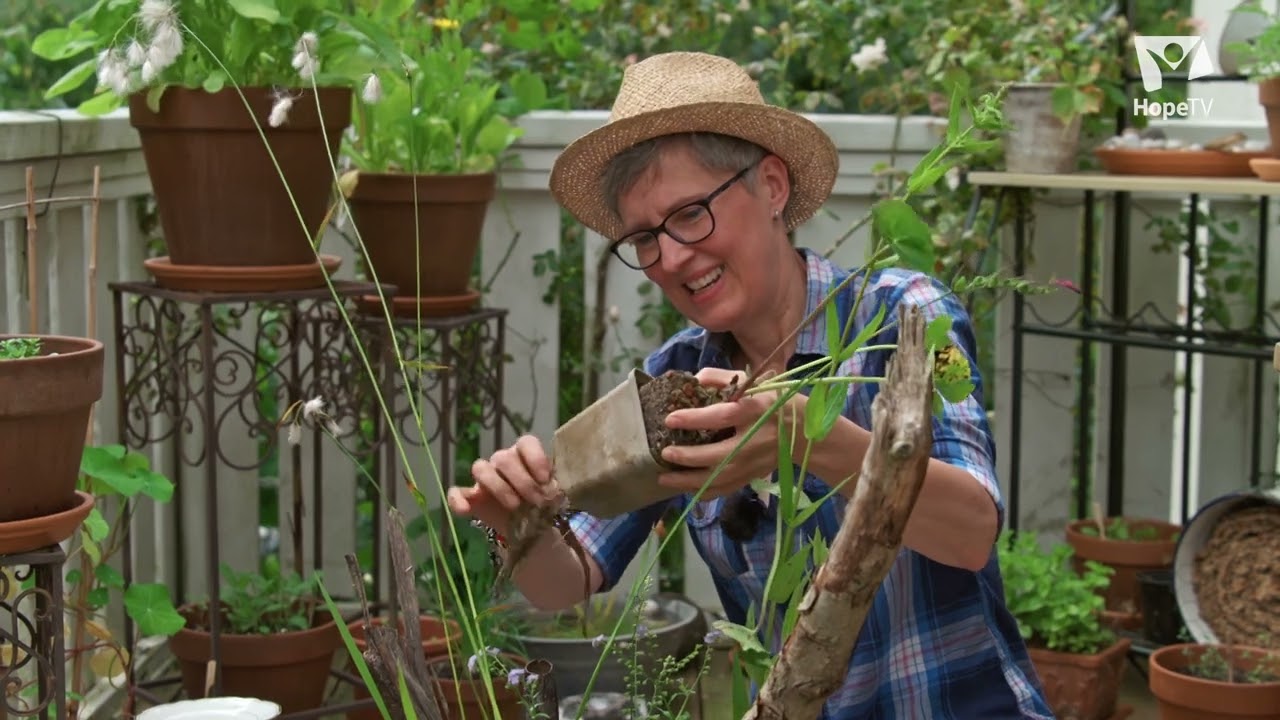 Mein Insektenbalkon – ein Sumpfbeet anlegen | „Gabis Garten“ mit Gabi Pratz