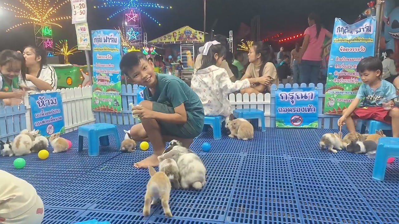 เดินเที่ยว.