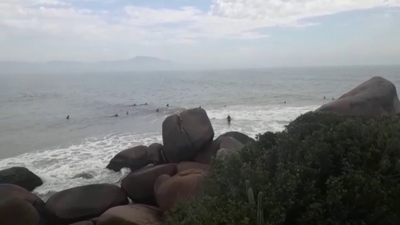 Ponta das Canas 22 Julho 2019 - In Paradise