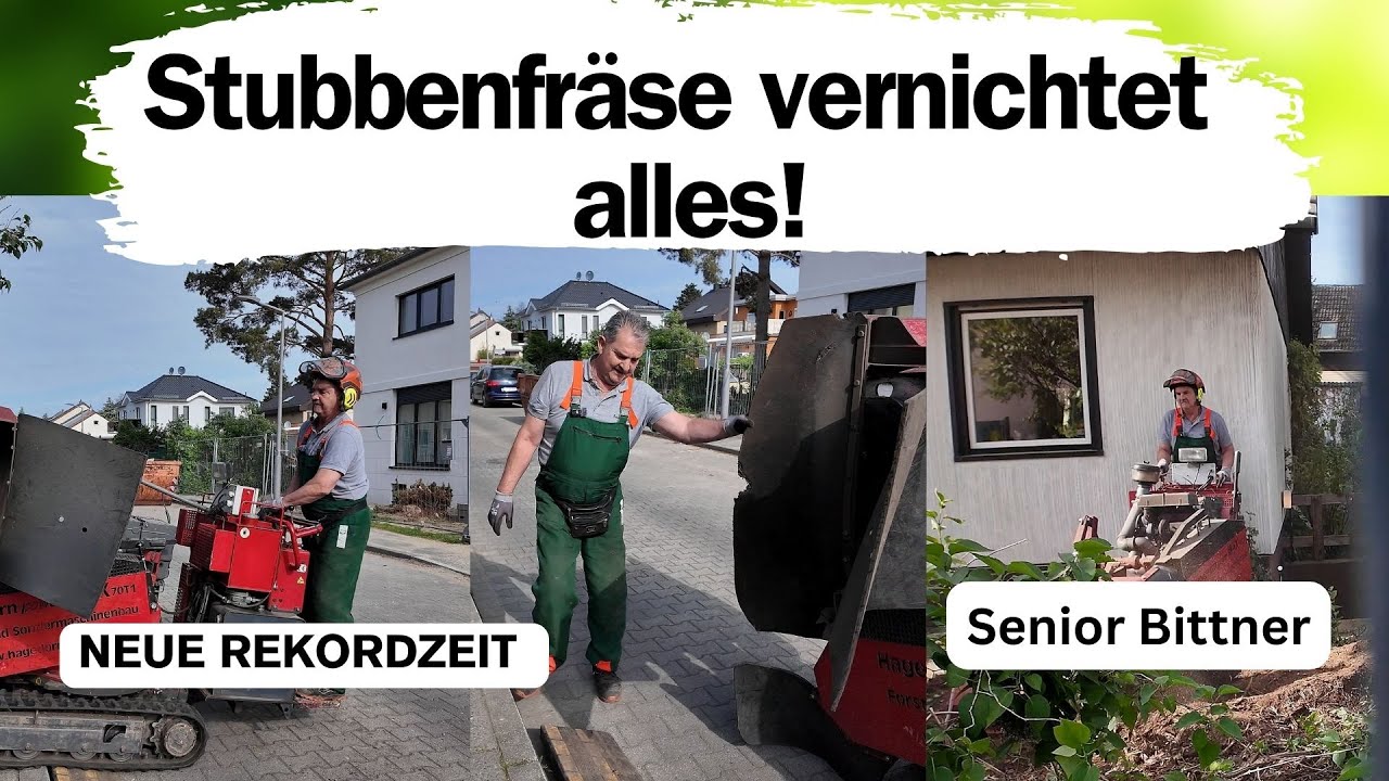 Stubbenfräse im Einsatz mit dem Senior