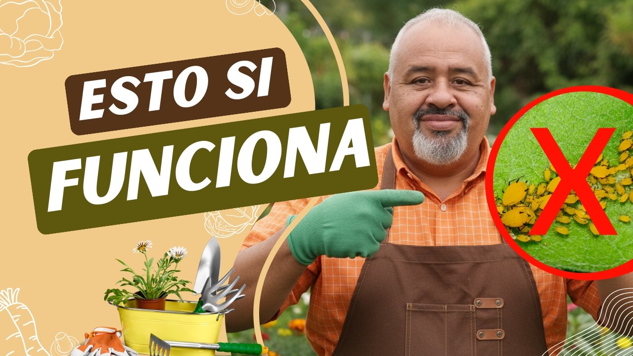 Tus plantas están infestadas? Esta solución natural las salva
