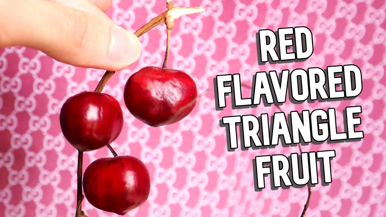 TERENGGANU CHERRY - This Weird Fruit Tastes Like Red Pop! (Lepisanthes alata) - Weird Fruit Explorer
