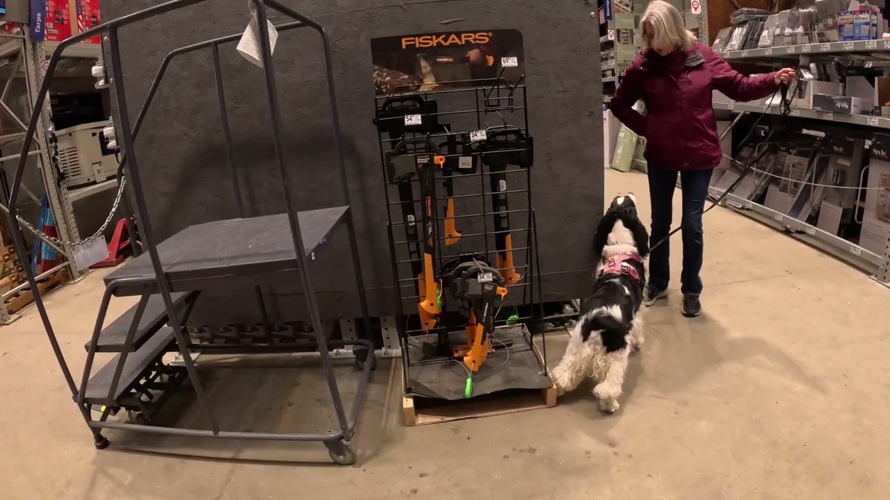 Dottie Nosework Practice at Lowe's-Inside Aisles 