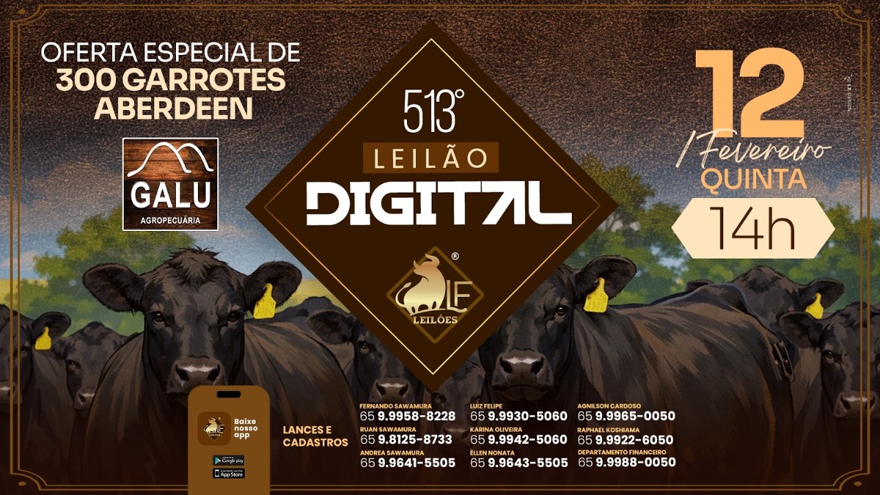513º  Leilão Digital da LF Leilões  12 02 2026 14:00 horas.