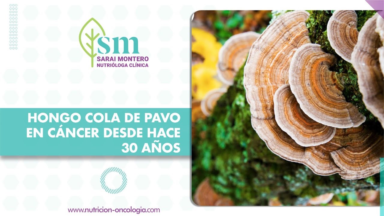 Hongo Cola De Pavo En Cáncer Hace 30 años| Sarai Montero | Nut. Y Oncología | Dr. Franco Krakaur