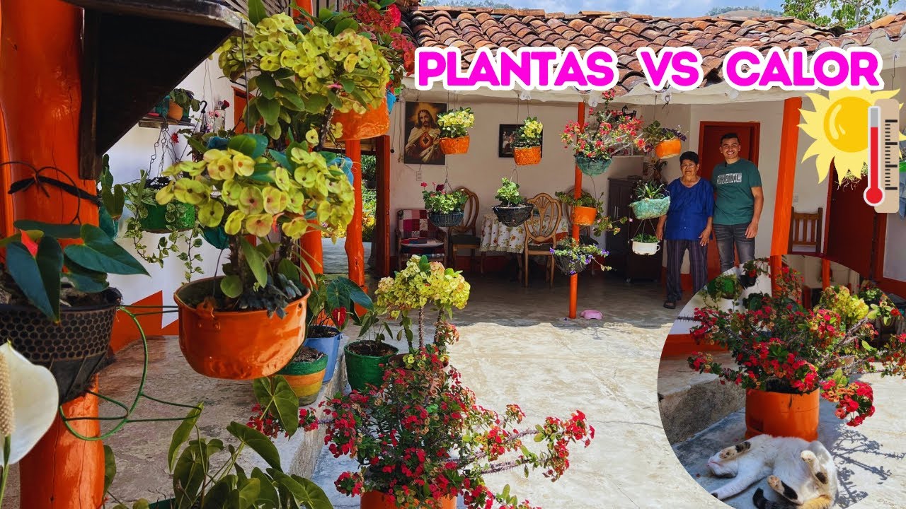 Un hermoso JARDÍN en DAMASCO, asi es como JUDI logra tener PLANTAS en un clima de 29°C 🥵 |AP