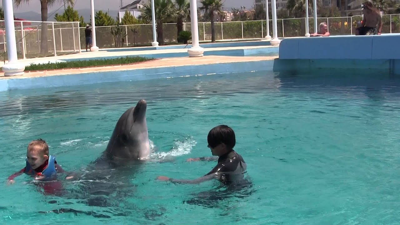 Kuba z Izą w delfinarium Sealanya