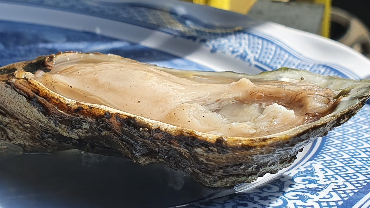 A comer con Jon&aacute;s: Ostiones ahumados gratinados