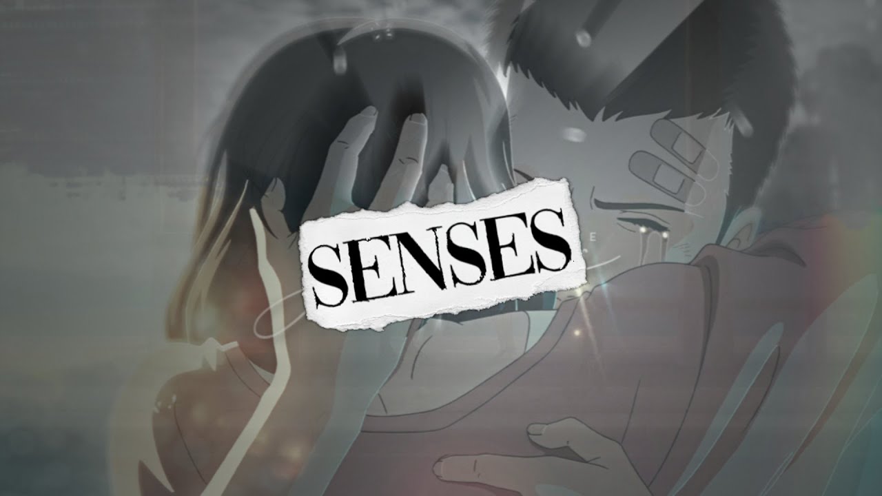 Senses | MEP