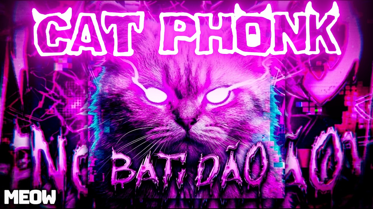 DANCE ! HUMAN - TIKTOK DANCE/CAT PHONK   (GYM/AGGRESSIVE) 🗿