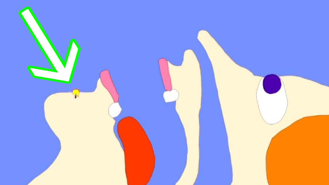 【Algodoo】Squeeze a pimple.　ニキビをつぶす