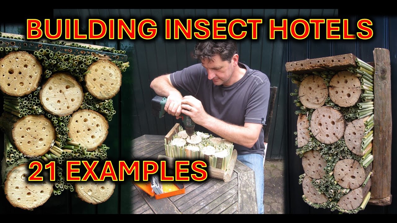 DIY: Building insect hotels, 21 examples