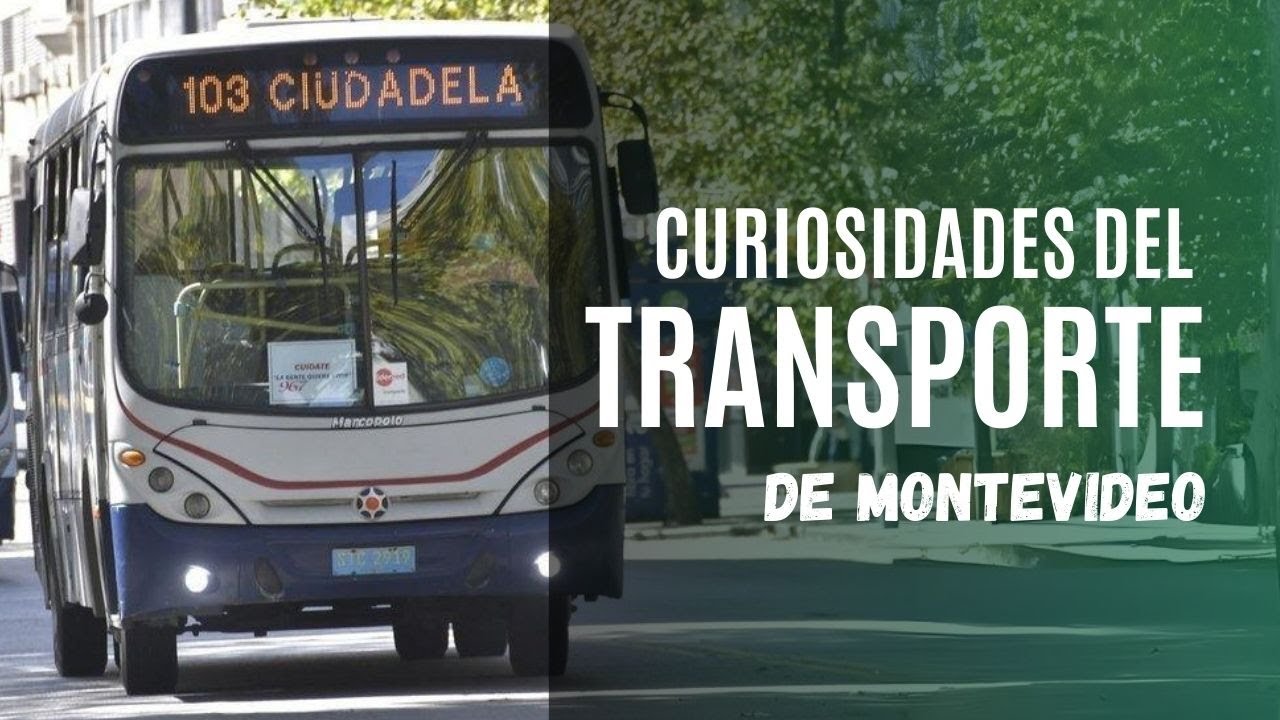 5 Datos que nos ASOMBRA sobre el TRANSPORTE en MONTEVIDEO