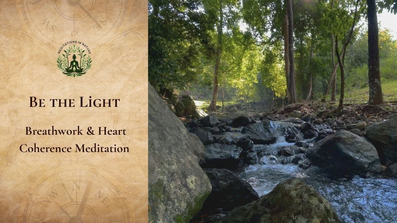We Are Beings of Light | Guided Meditation