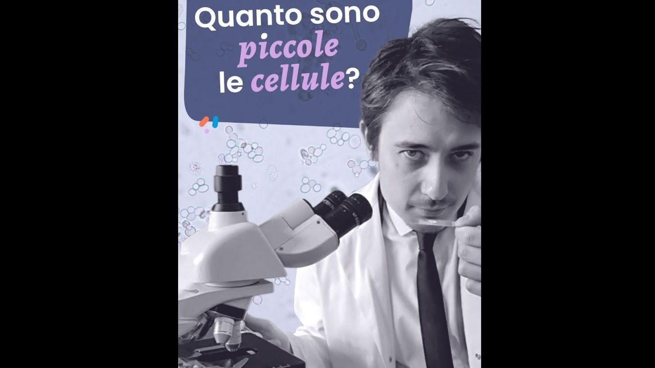Eri piccola (come una cellula) - #parodia di Fred Buscaglione #divulcanzone