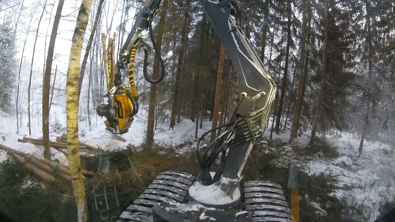 Pakkaspäivän höpinöitä ja turaamista kuusikossa. Spruce thinning. Ponsse Beaver,C22 11m, H6