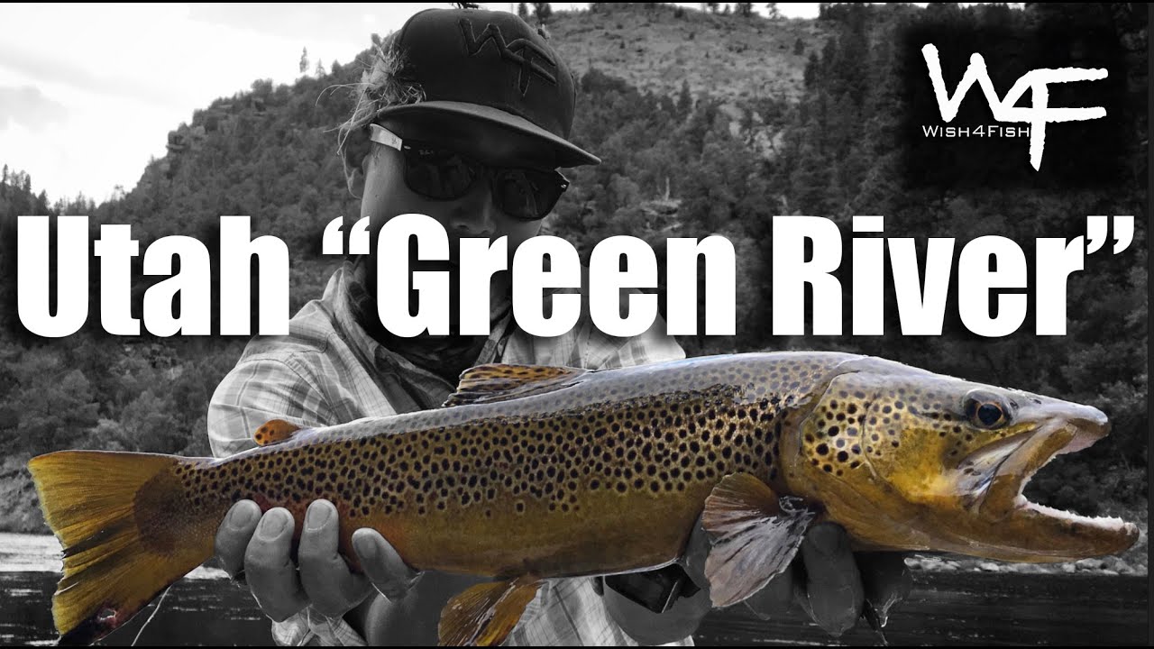W4F - Fly Fishing 