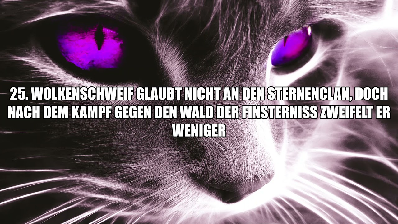 50 Fakten über Warrior Cats | Diamantherz WaCa