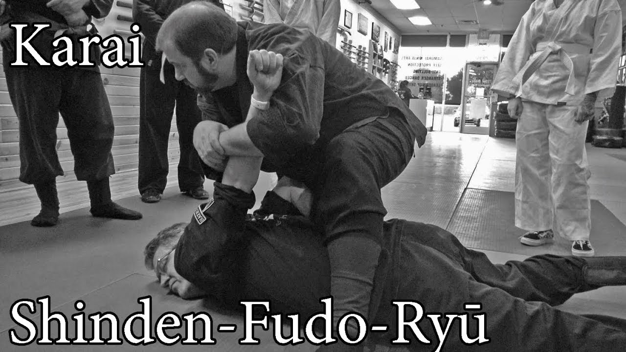 Shinden Fudo Ryu - Karai Mist Thunder