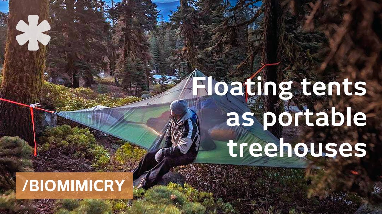 Tentsile tree tents: floating treehouses mimic spider webs