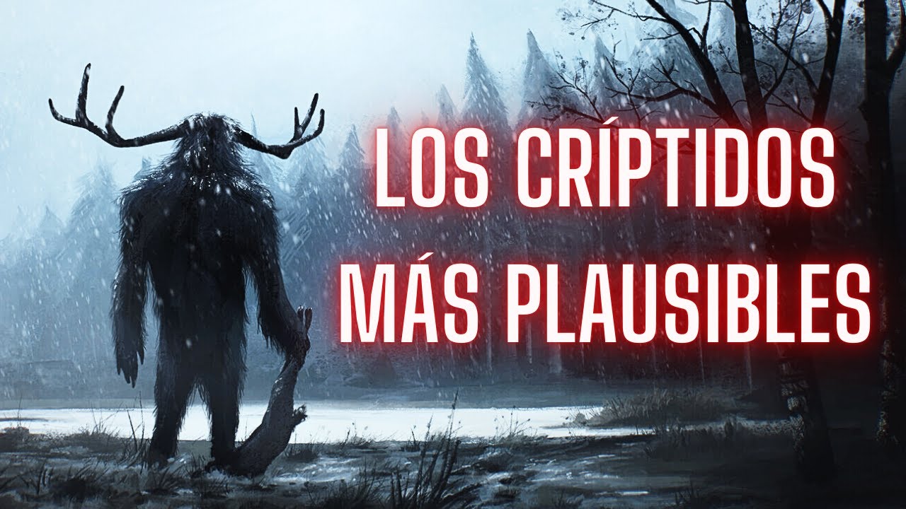 ¿LEYENDAS O REALIDAD? : TOP 6 críptidos más plausibles
