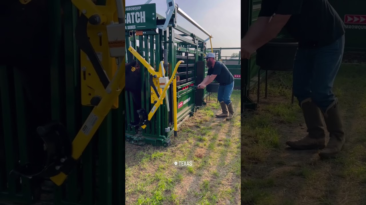 Smoother Than Butter 😎 | Linzer Ranch | Arrowquip Cattle Handling System