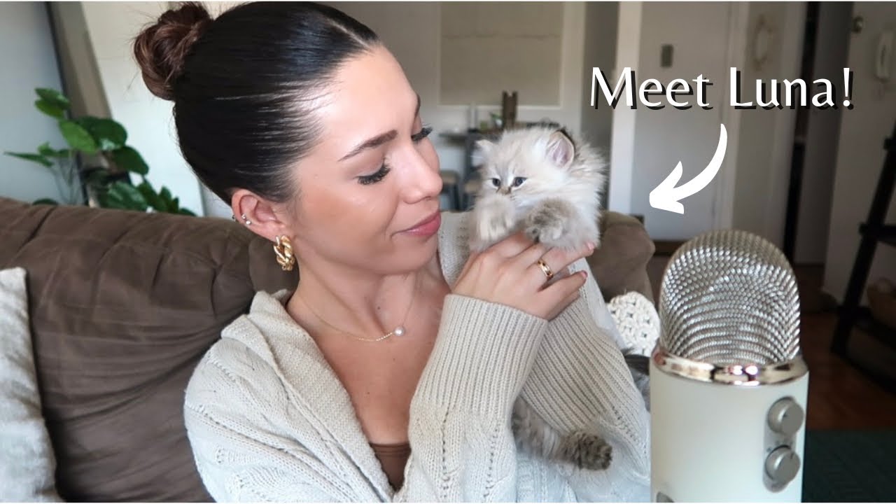 ASMR - Life Update Whisper Ramble! | My New Cat, Job Updates & Other Fun Things