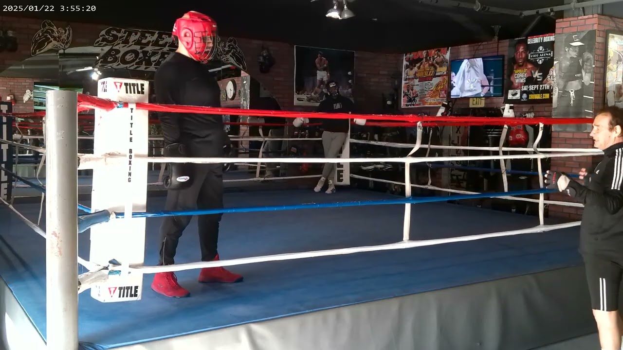 STEELEBOXER GYM ONLINE BOXING/KICKBOXING TRAINING PROGRAMwww.steeleboxer.com