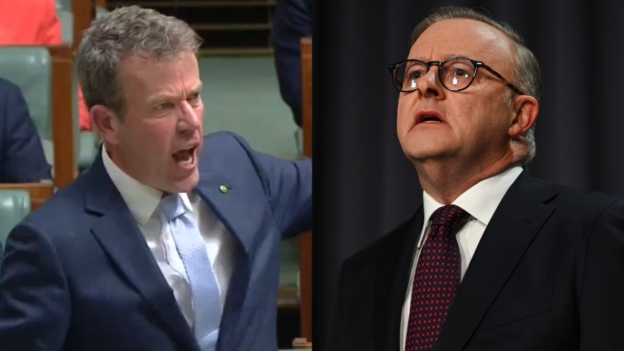 &lsquo;Weakness at its worst&rsquo;: Dan Tehan blasts Anthony Albanese as &lsquo;gutless&rsquo;