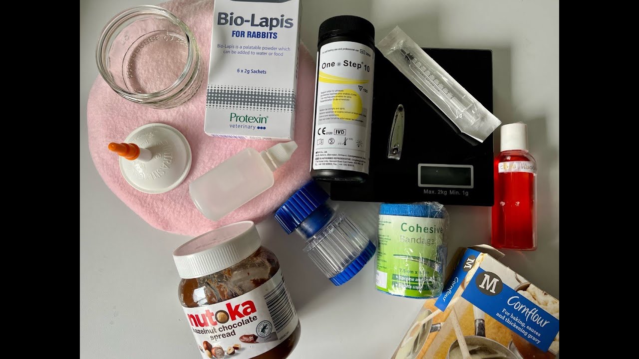 Rat First Aid Kit (2023 Update)