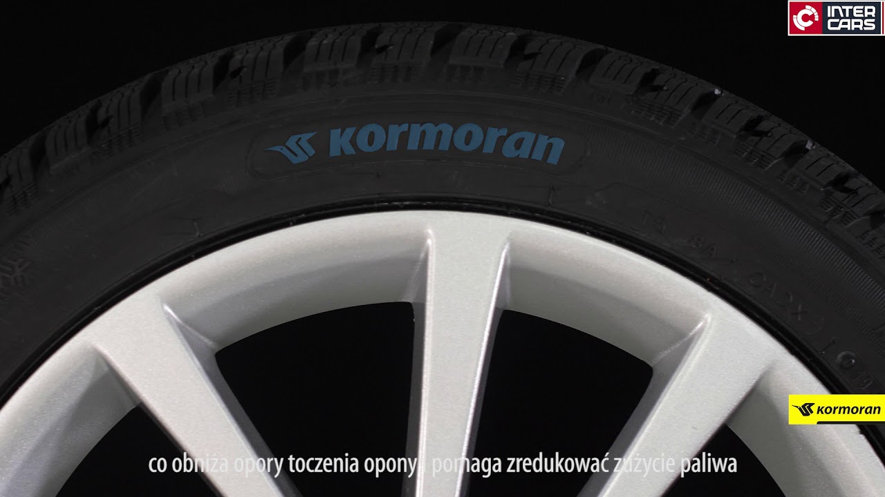 Kormoran Snow
