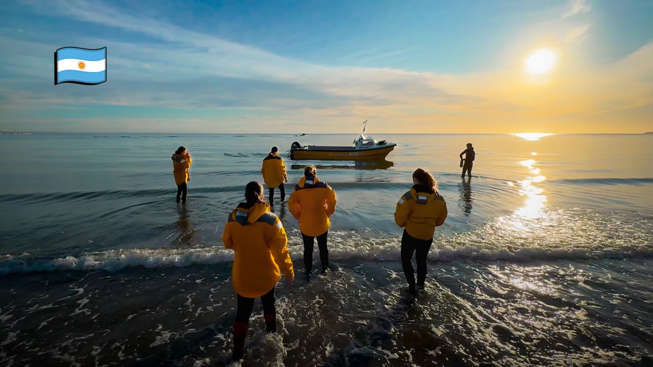 Puerto Madryn en OCTUBRE - El mejor mes para viajar 🇦🇷