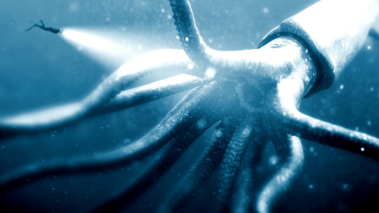 I Followed the Whales to the Bottom of the Ocean and This Happened - Beyond Blue