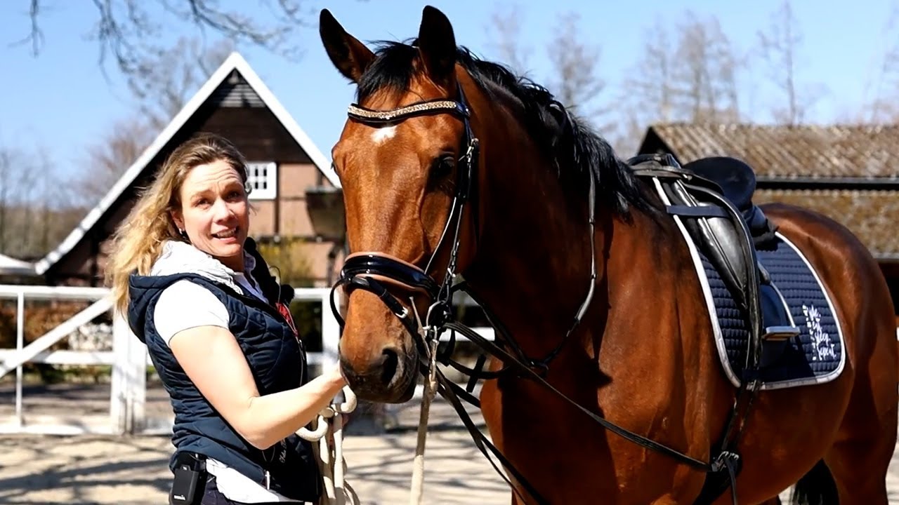 Getting on problem horse Google for the first time