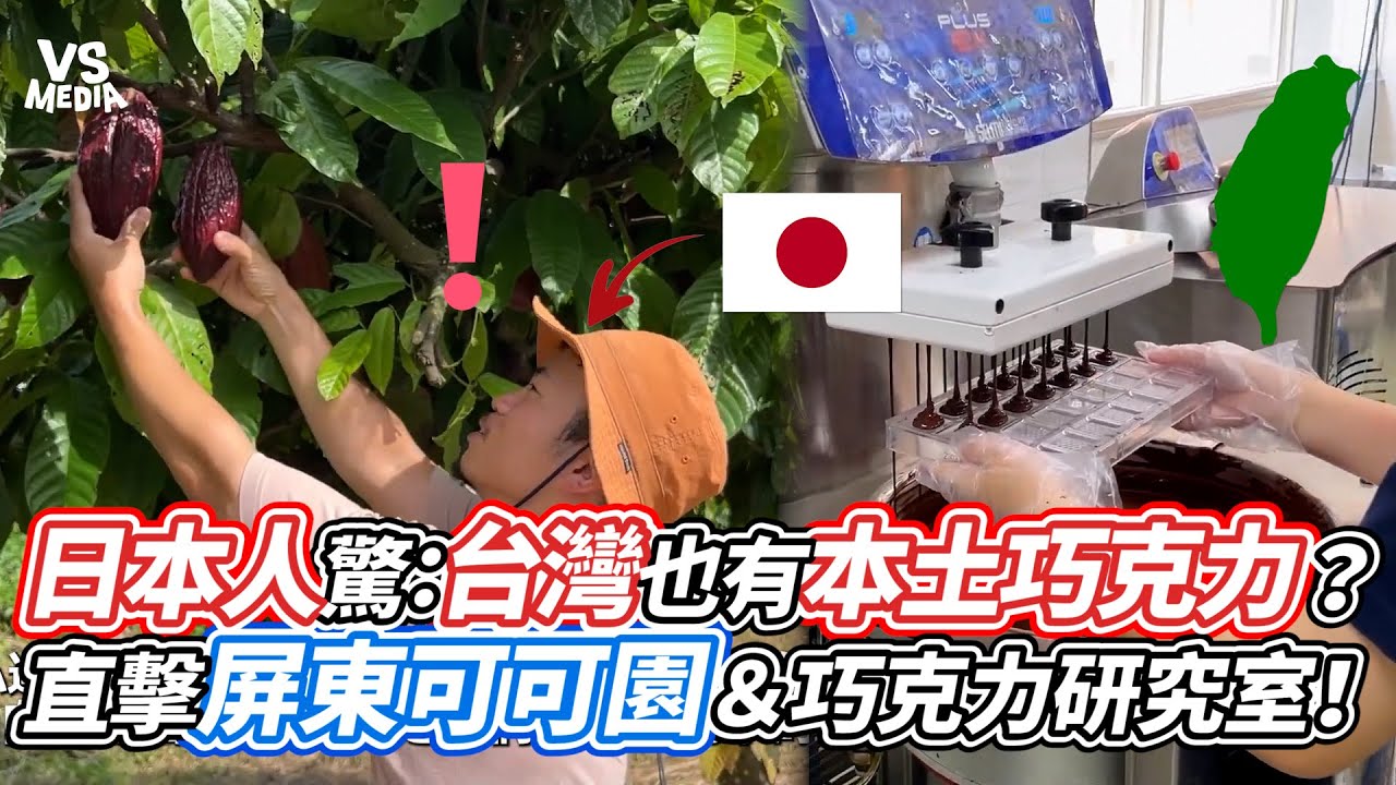 日本人驚：台灣也有本土巧克力？ 直擊屏東可可園＆巧克力研究室！｜VS MEDIAｘ@掛村VIDEO