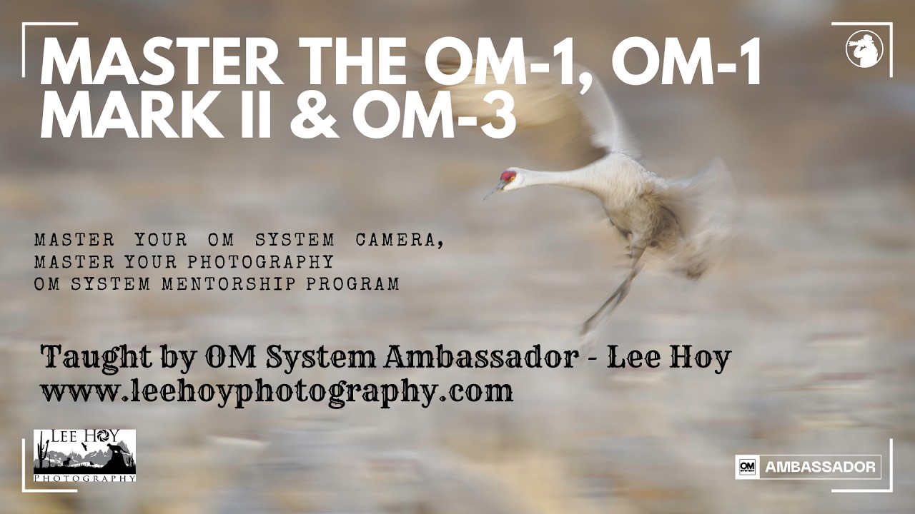 Освойте OM-1, OM-1 Mark II и OM-3 — программа наставничества OM System с амбассадором OM System Л...