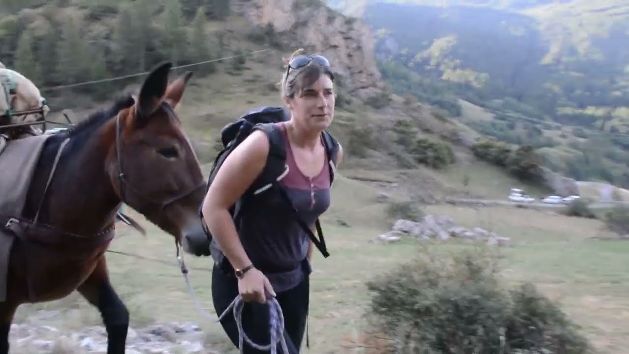 EQUI'GRIMPE, portage muletier pour des bergers en Ubaye