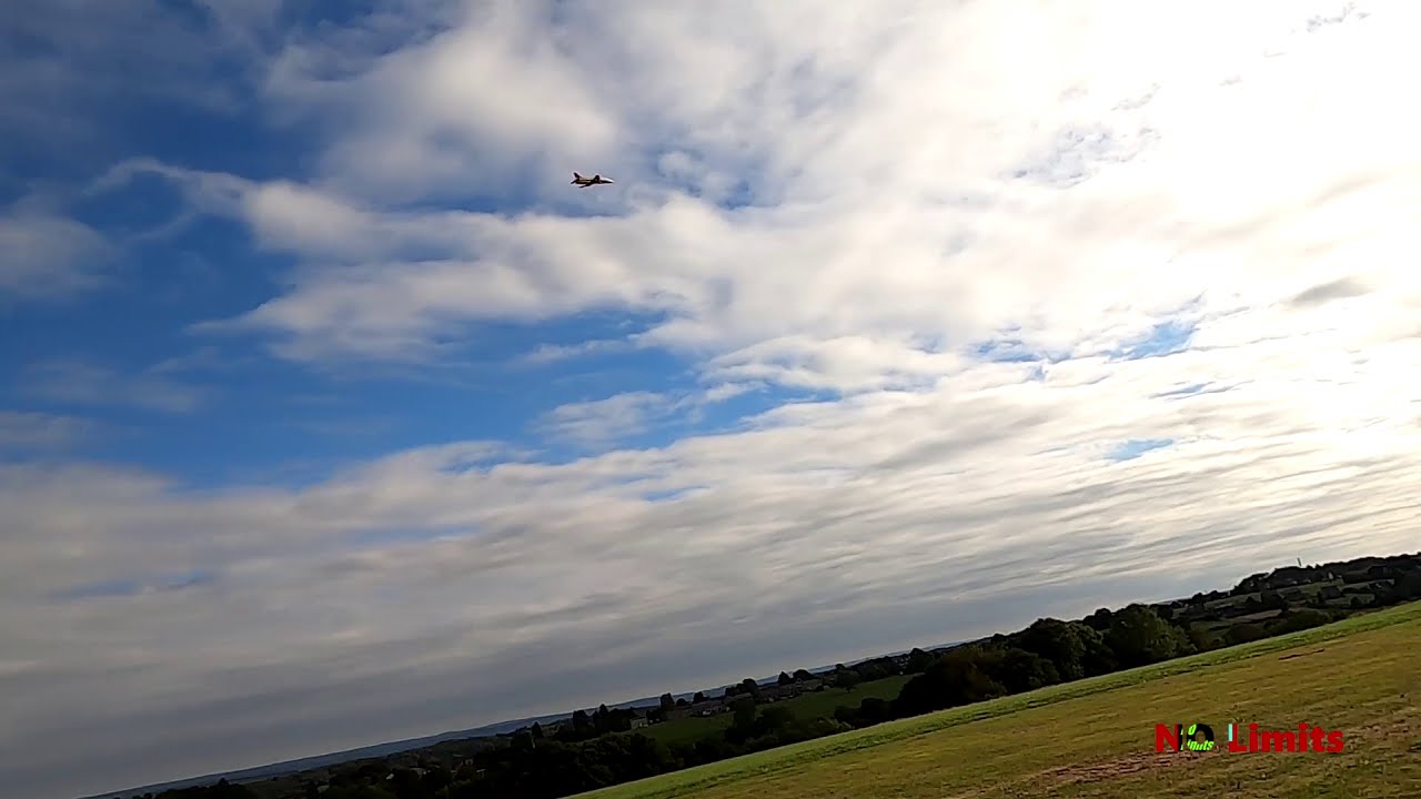 Freewing Avanti S 80mm EDF Flight Formation