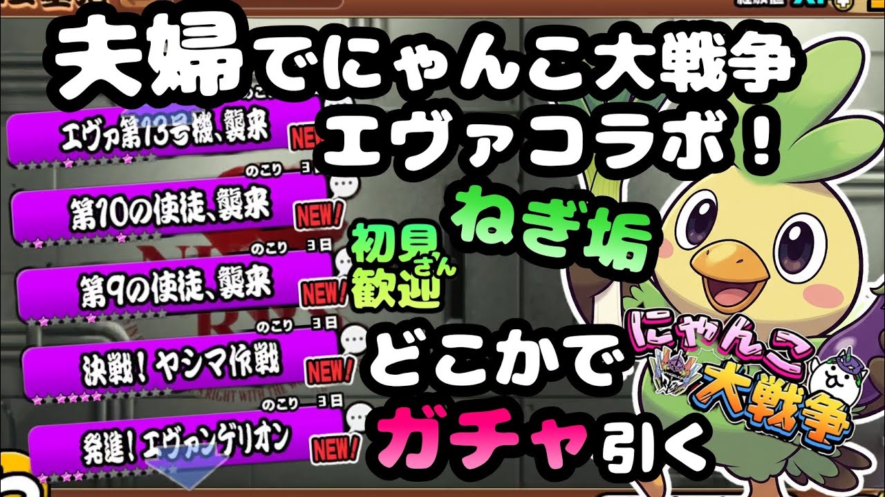 エヴァコラボステージ　【初見さん大歓迎】夫婦実況+リアルにゃんこでまったりにゃんこ大戦争・雑談🐾ライブ配信#119 #にゃんこ大戦争 #縦型配信 #ライブ配信 #shorts #shorts #初見