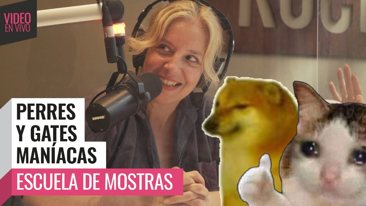 PERRES y GATES MANÍACAS | 😈 #FuriaBebé  #Video | STRAUCH, MALE PICHOT, BIMBO y DANILA