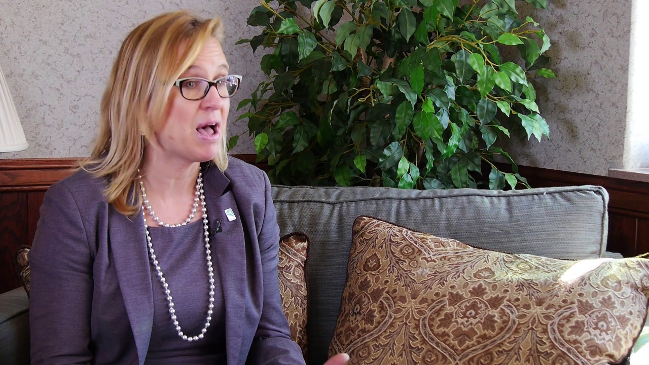 PROJECT SEARCH - In your business