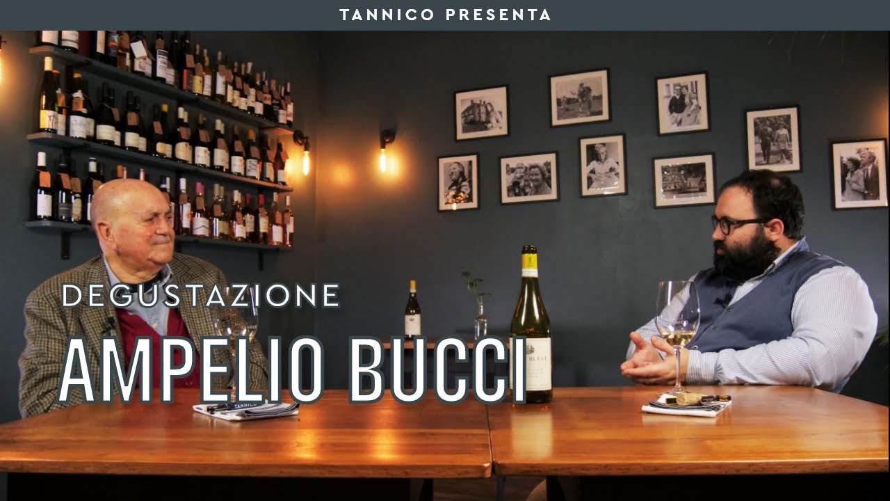 Degustazione con Ampelio Bucci: Verdicchio dei Castelli di Jesi 
