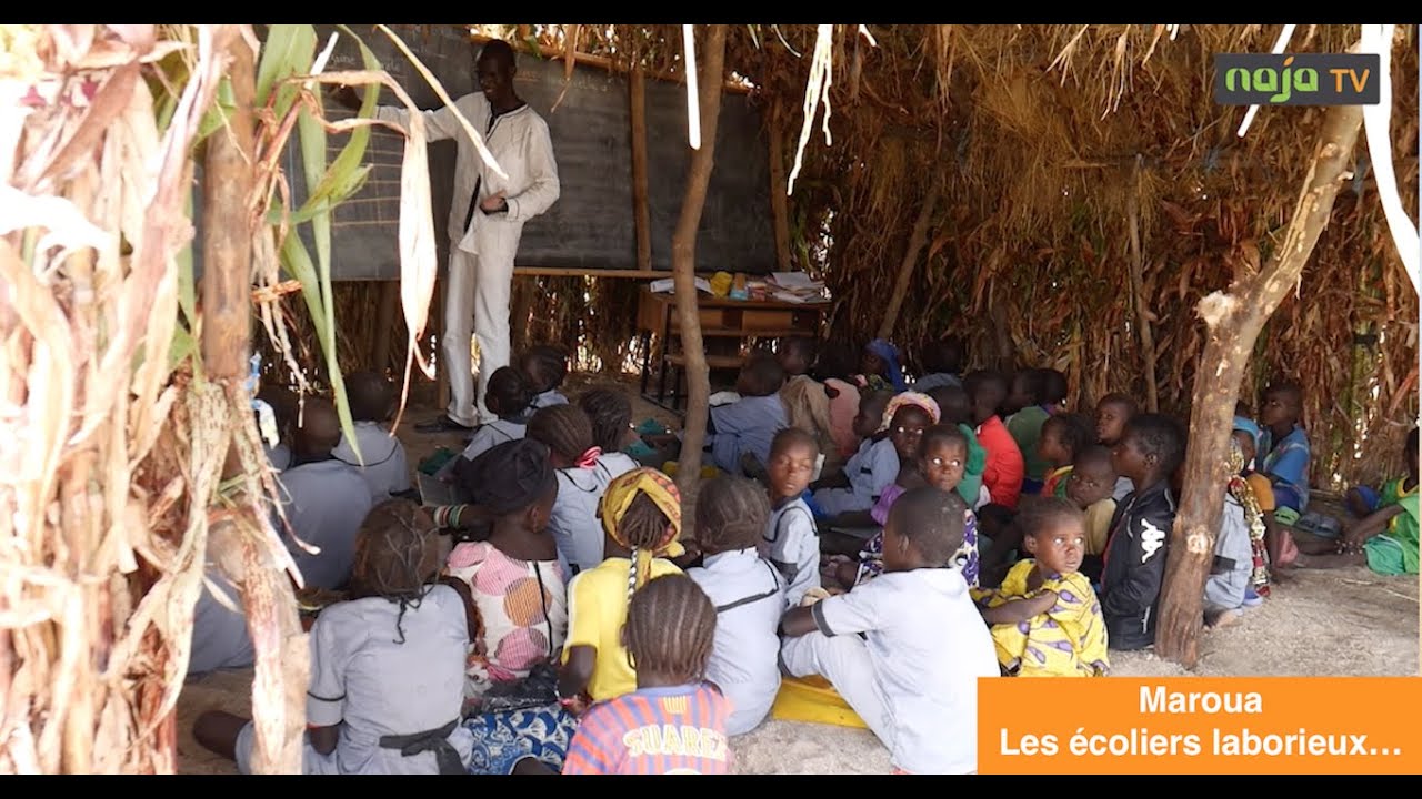 Maroua : les écoliers laborieux
