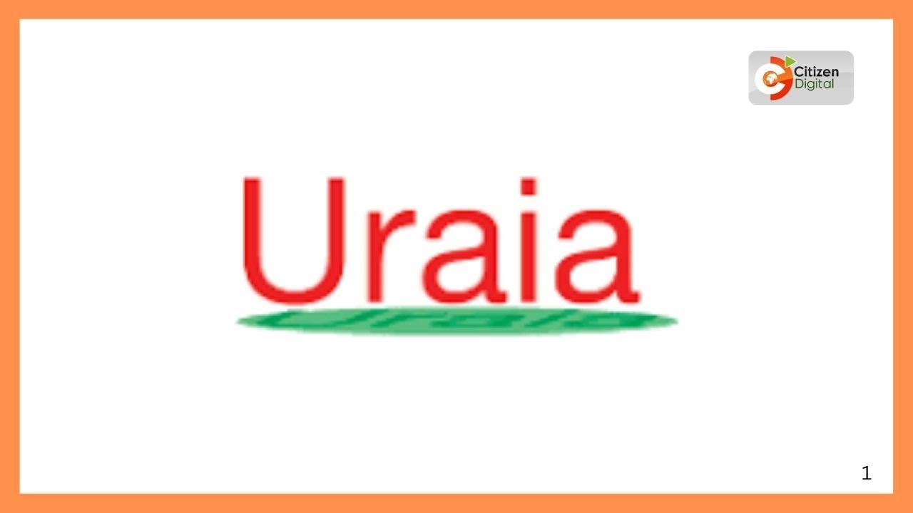 URAIA trust urges kenyans to engage in public participation