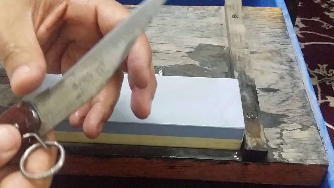 سن سكين الأوكابي الألمانية وارد خوجة