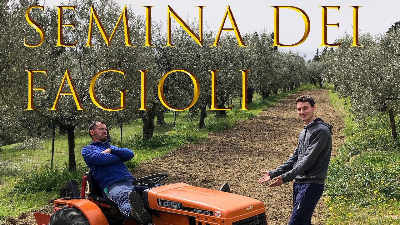 Посев фасоли Zolfini и Borlotti / Подготовка - Фрезерование почвы - Ridger Tractor