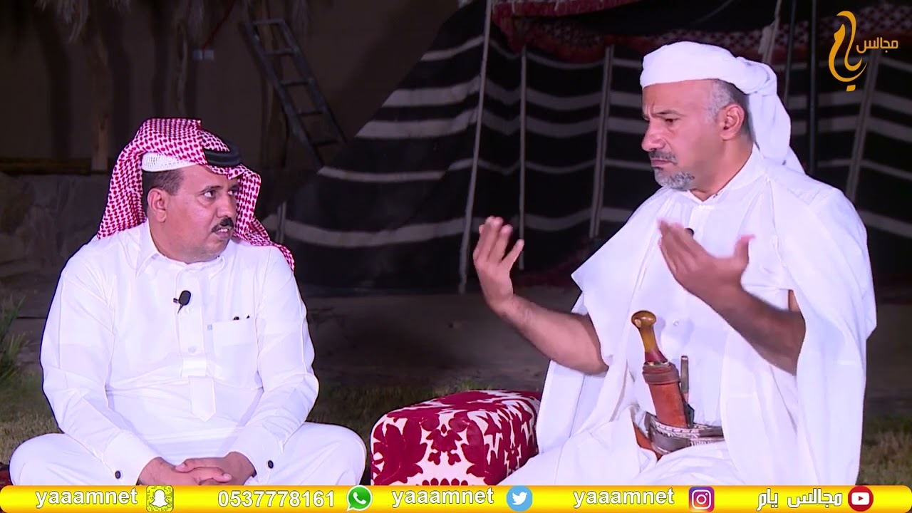 سالفة بين يام ووايلة