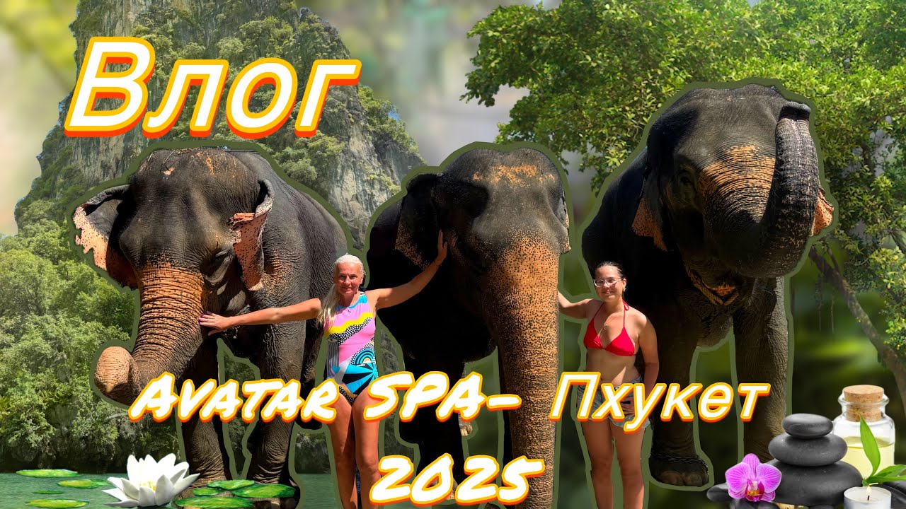 Экскурсия Avatar SPA&ndash;Пхукет 2025/ Купаем слонов/ Смотровая площадка Самет Нангши/ Mantra Forest spa 
